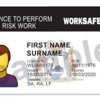 high risk licence card