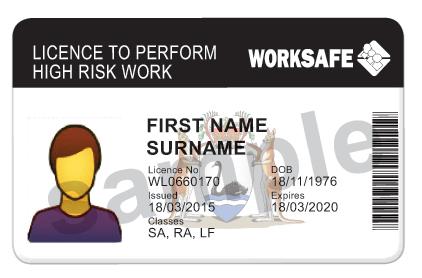 high risk licence card